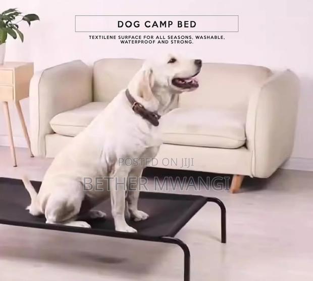 Dog Camp Bed in Kenya - thumbnail 3