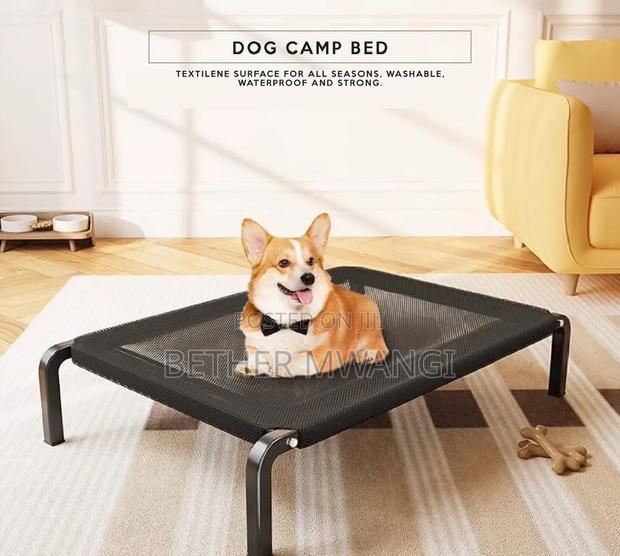 Dog Camp Bed in Kenya - thumbnail 4