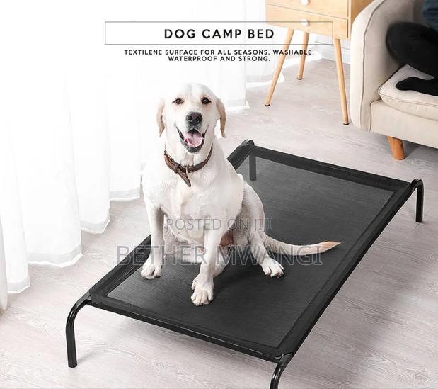 Dog Camp Bed in Kenya - thumbnail 6