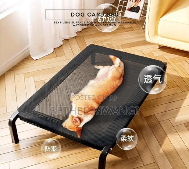 Dog Camp Bed in Kenya - thumbnail 7