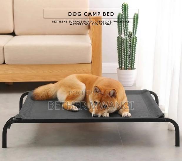 Dog Camp Bed in Kenya - thumbnail 8