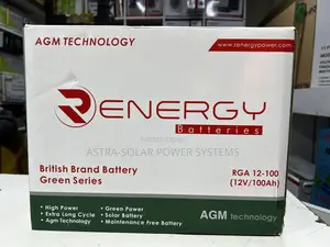Renergy 12v 100ah Agm Battery