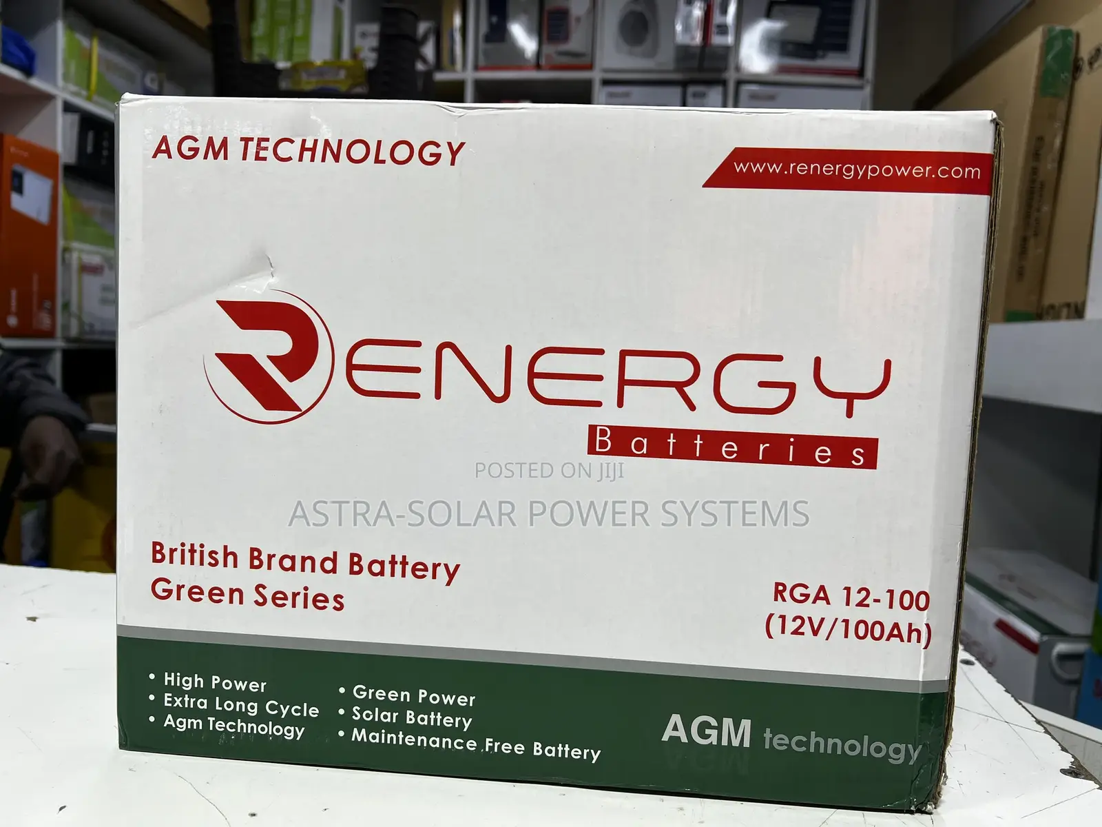 Renergy 12v 100ah Agm Battery
