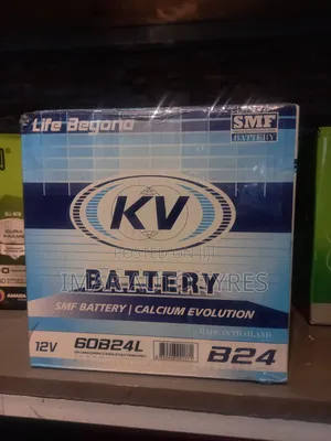 Kv Ns60 / 48ah