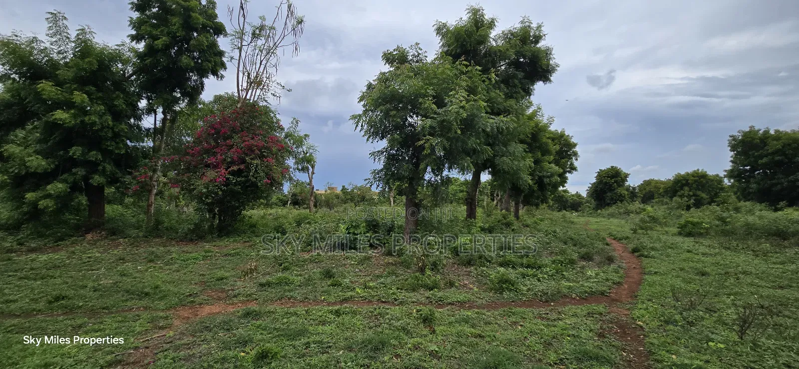 Mtwapa Jumba Ruins, 4.5 Acre Plot for Sale