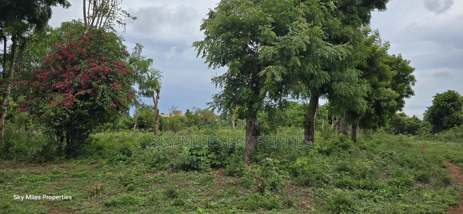 Mtwapa Jumba Ruins, 4.5 Acre Plot for Sale