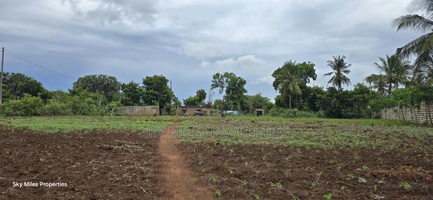 Mtwapa Jumba Ruins, 4.5 Acre Plot for Sale - thumbnail 6