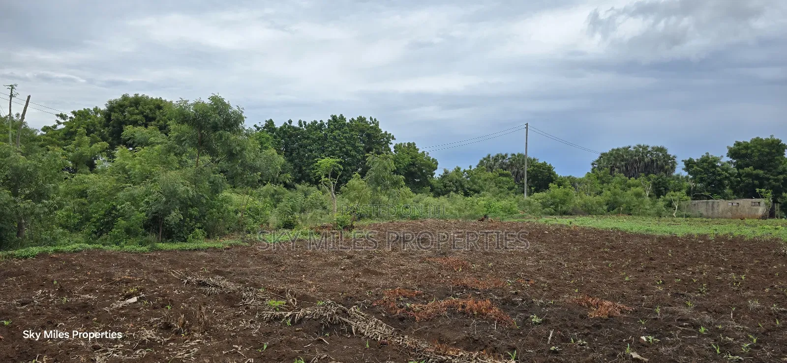 Mtwapa Jumba Ruins, 4.5 Acre Plot for Sale