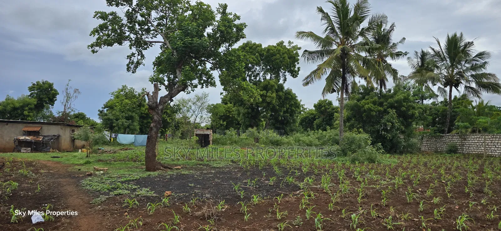 Mtwapa Jumba Ruins, 4.5 Acre Plot for Sale