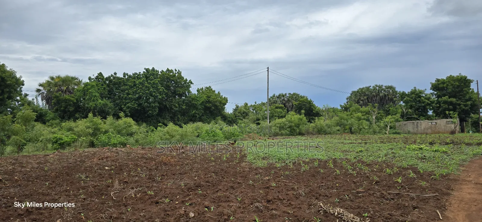 Mtwapa Jumba Ruins, 4.5 Acre Plot for Sale