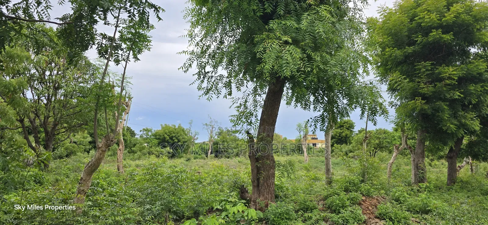 Mtwapa Jumba Ruins, 4.5 Acre Plot for Sale