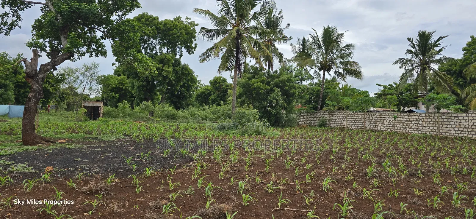 Mtwapa Jumba Ruins, 4.5 Acre Plot for Sale