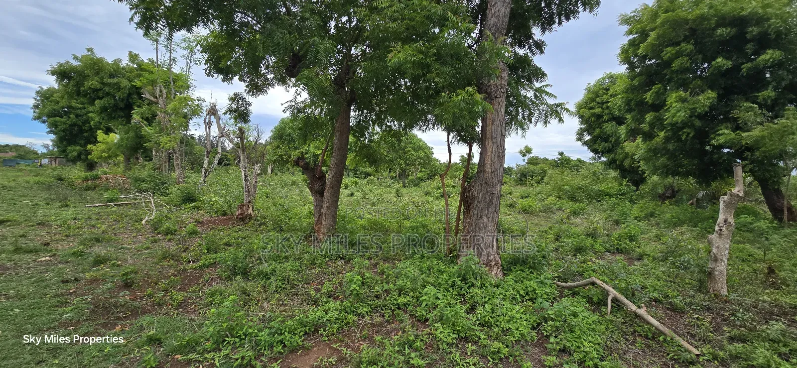 Mtwapa Jumba Ruins, 4.5 Acre Plot for Sale