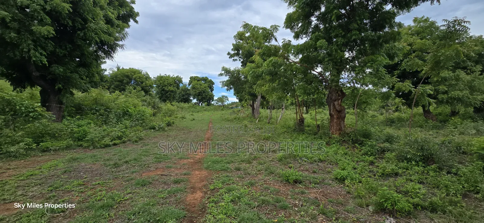 Mtwapa Jumba Ruins, 4.5 Acre Plot for Sale