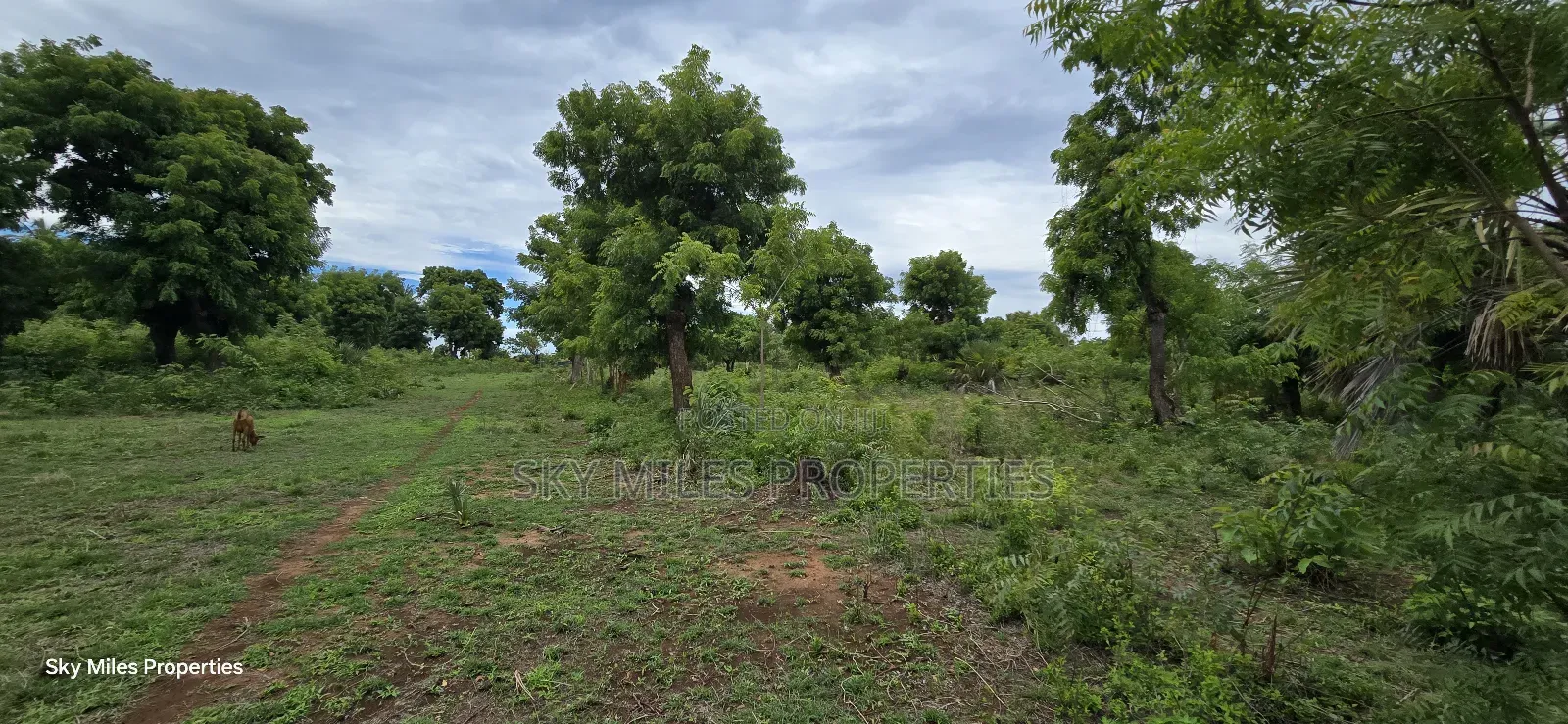 Mtwapa Jumba Ruins, 4.5 Acre Plot for Sale