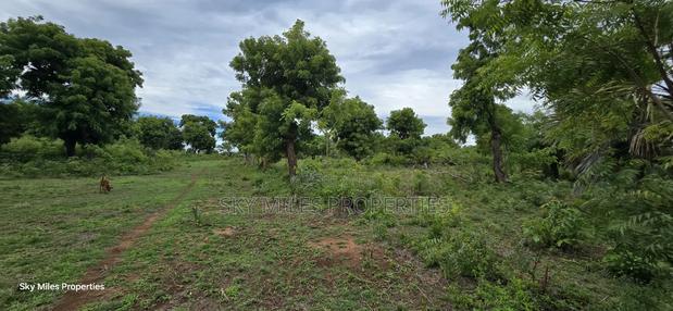 Mtwapa Jumba Ruins, 4.5 Acre Plot for Sale - thumbnail 17