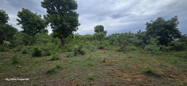 Mtwapa Jumba Ruins, 4.5 Acre Plot for Sale - thumbnail 18