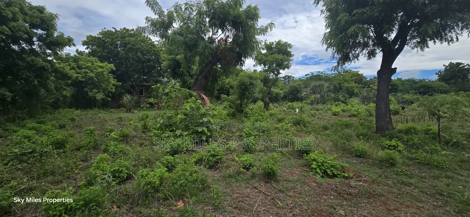 Mtwapa Jumba Ruins, 4.5 Acre Plot for Sale