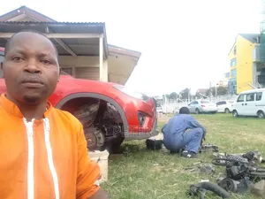 Professional Mechanic