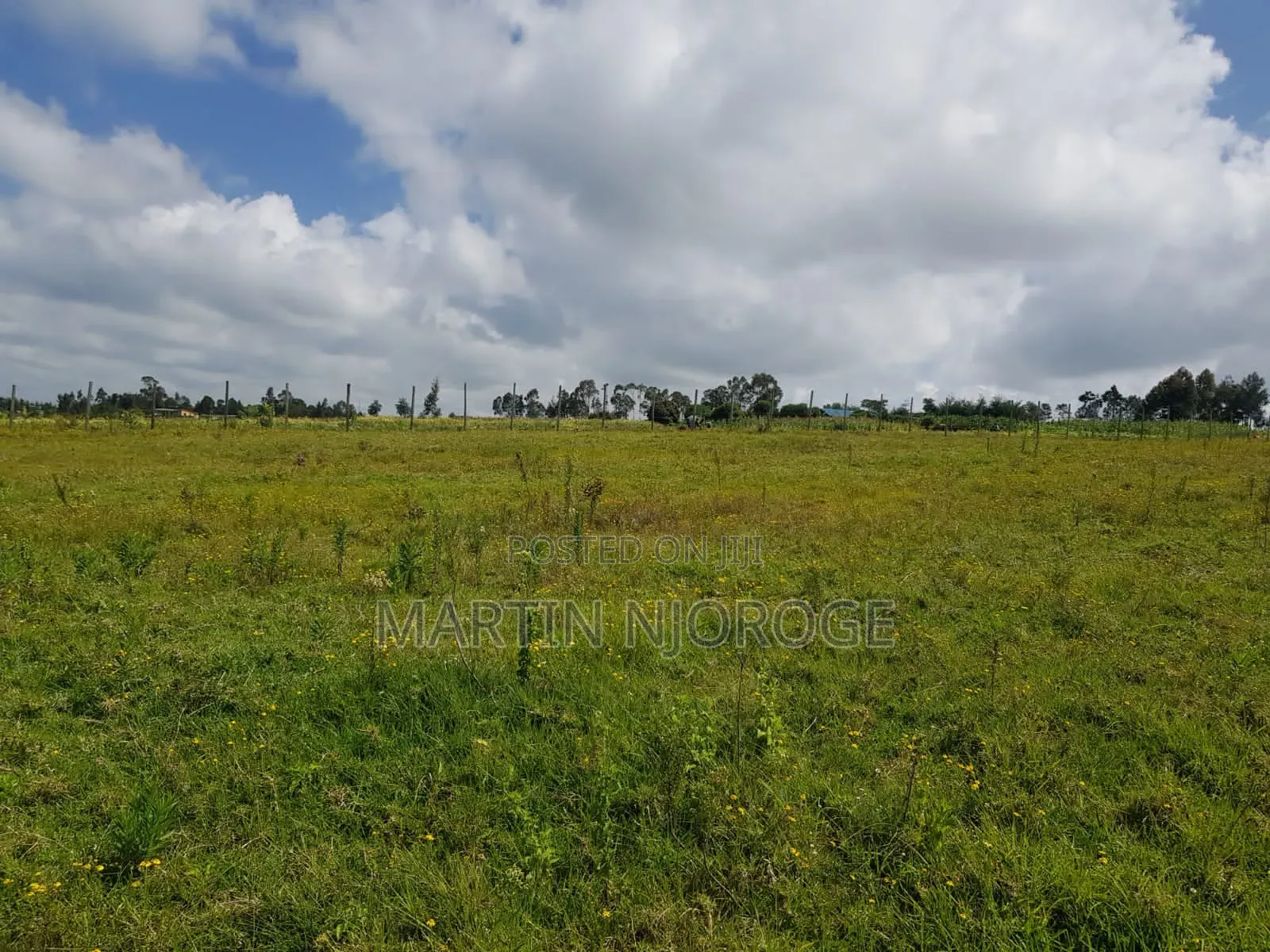 5 Acres Maai Mahiu