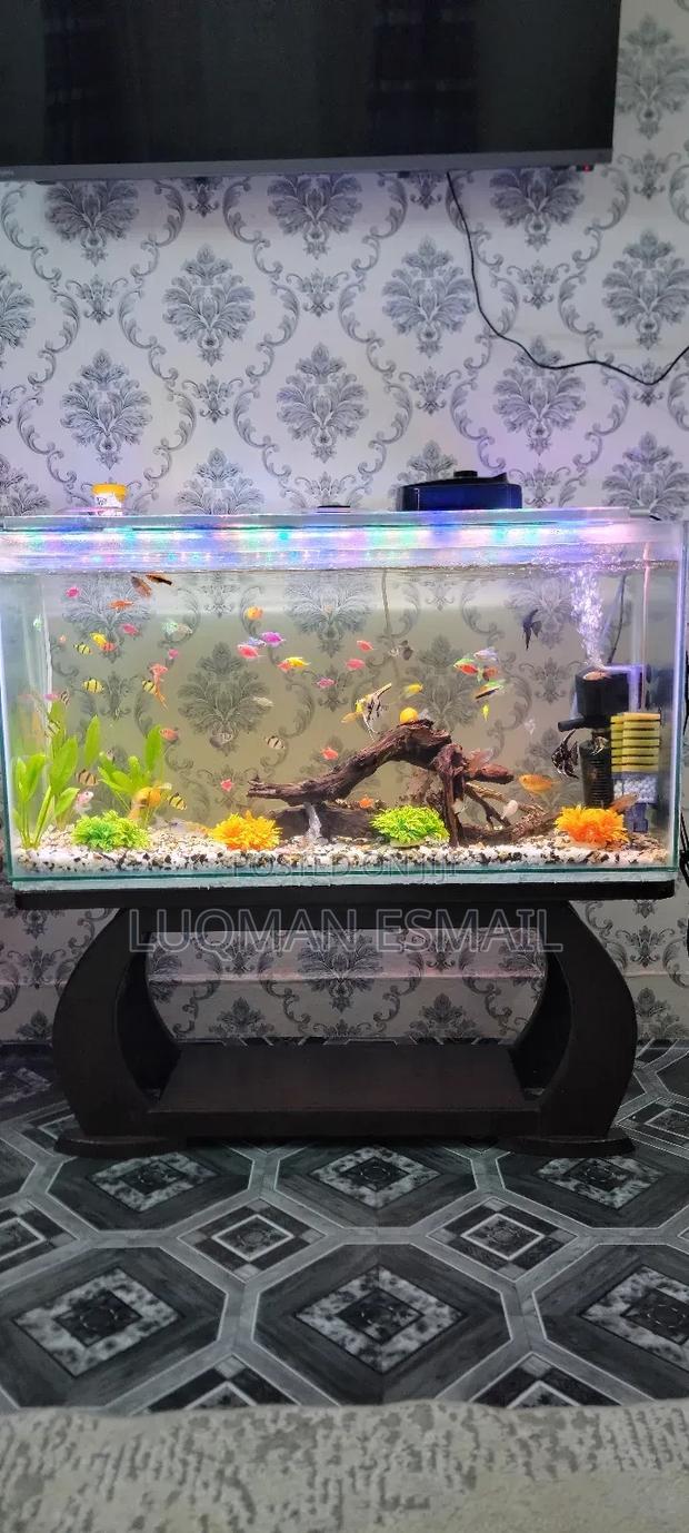 Ready Made Aquarium - main view