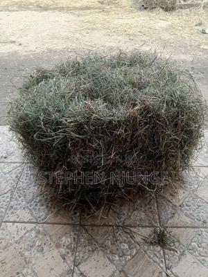 Hay Farm Production - thumbnail 2