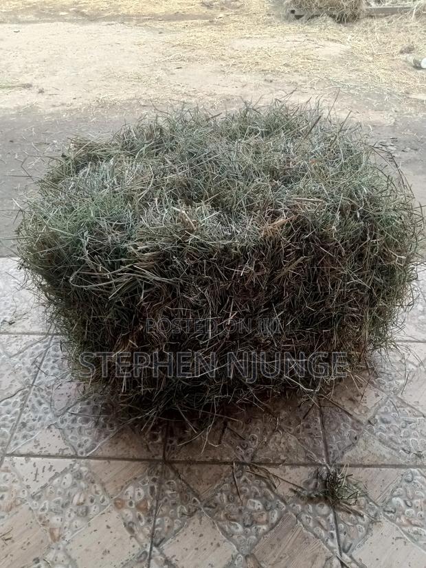 Hay Farm Production - main view