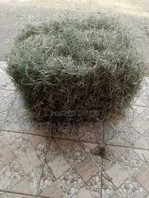 Hay Farm Production