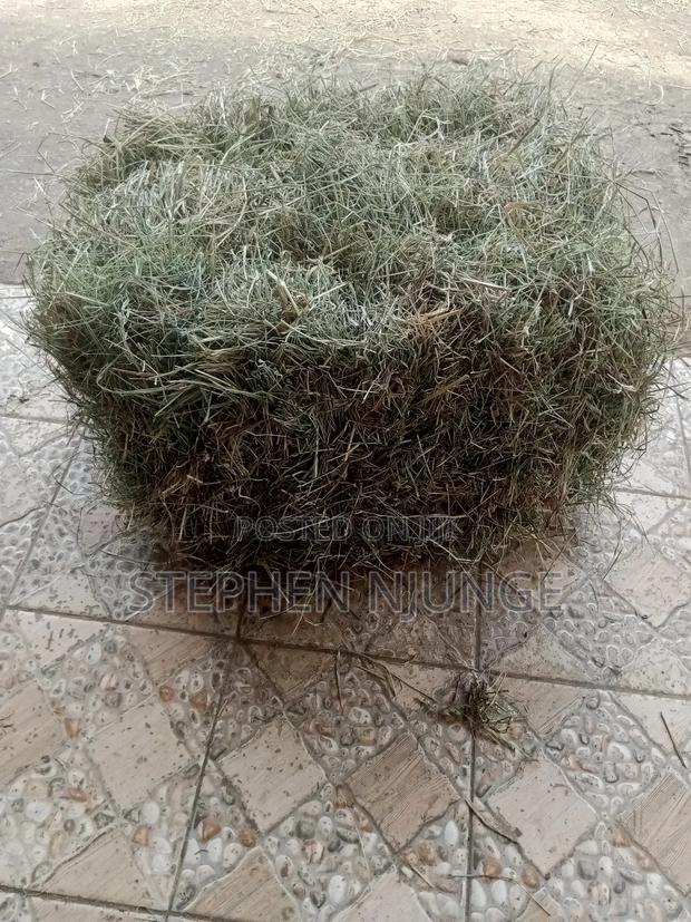 Hay Farm Production - thumbnail 3