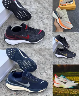 High Quality Nike Zoom (Invincible Run 3)