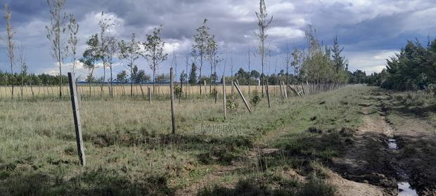 Land for Sale - thumbnail 2