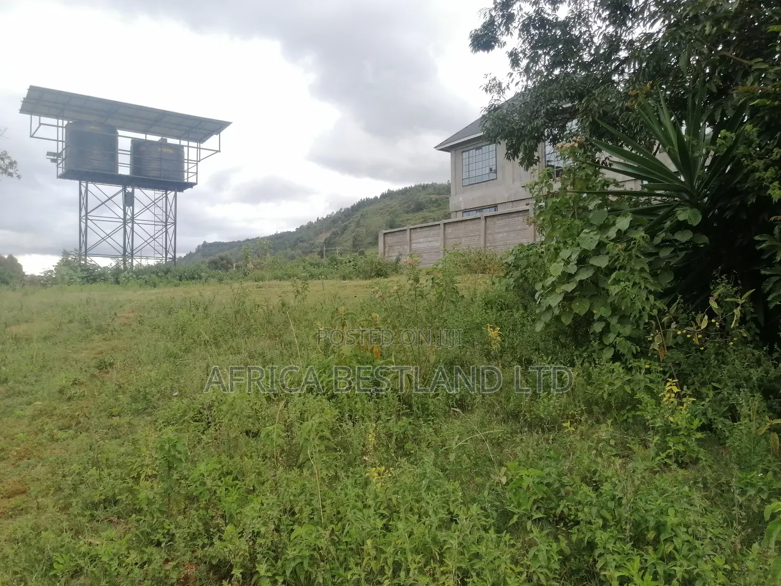100x100 Plot for Sale in Kikuyu Thigio