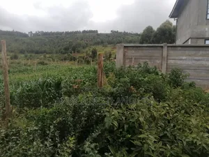 100x100 Plot for Sale in Kikuyu Thigio
