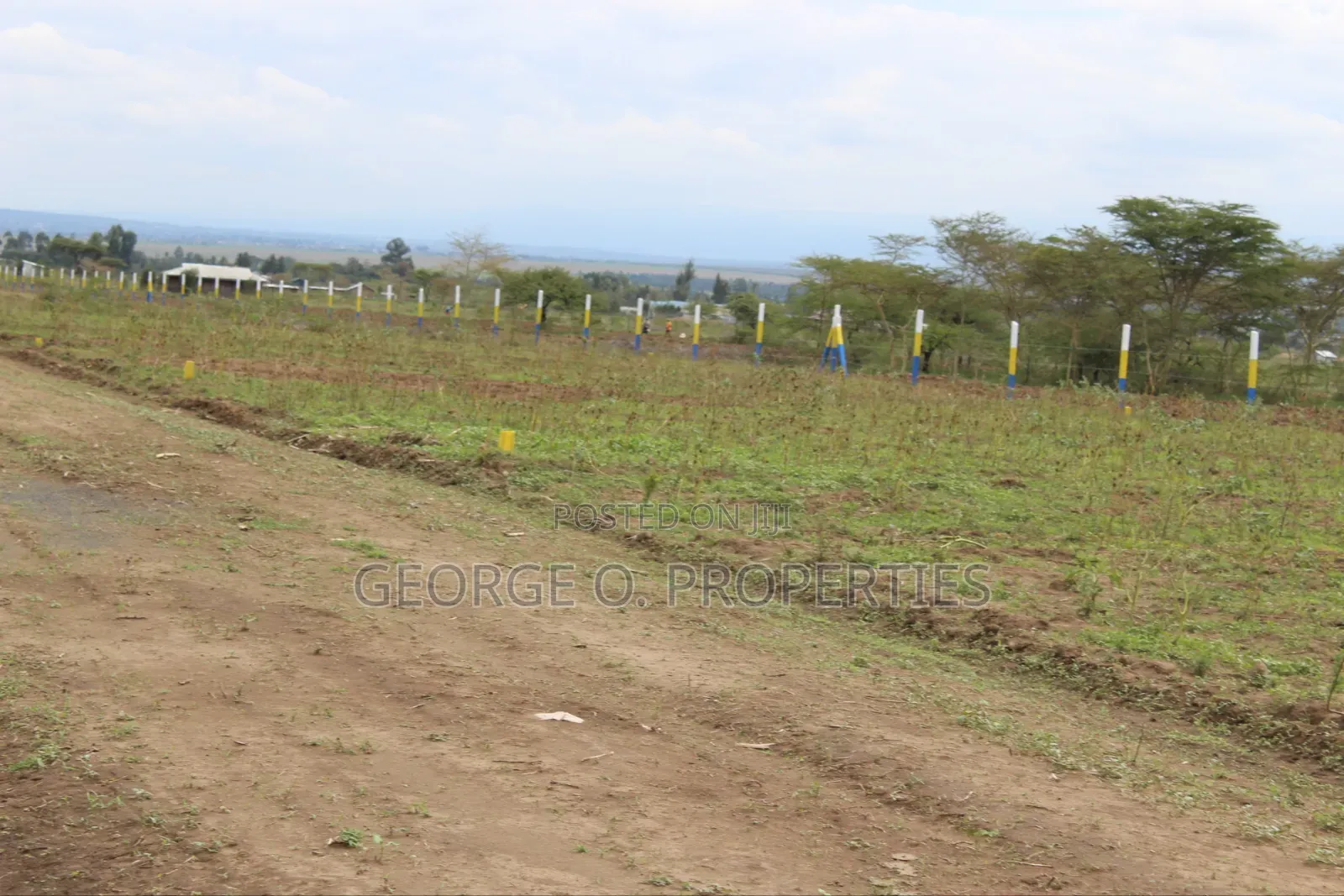 Nakuru Mutaita 50 by 100 Plots
