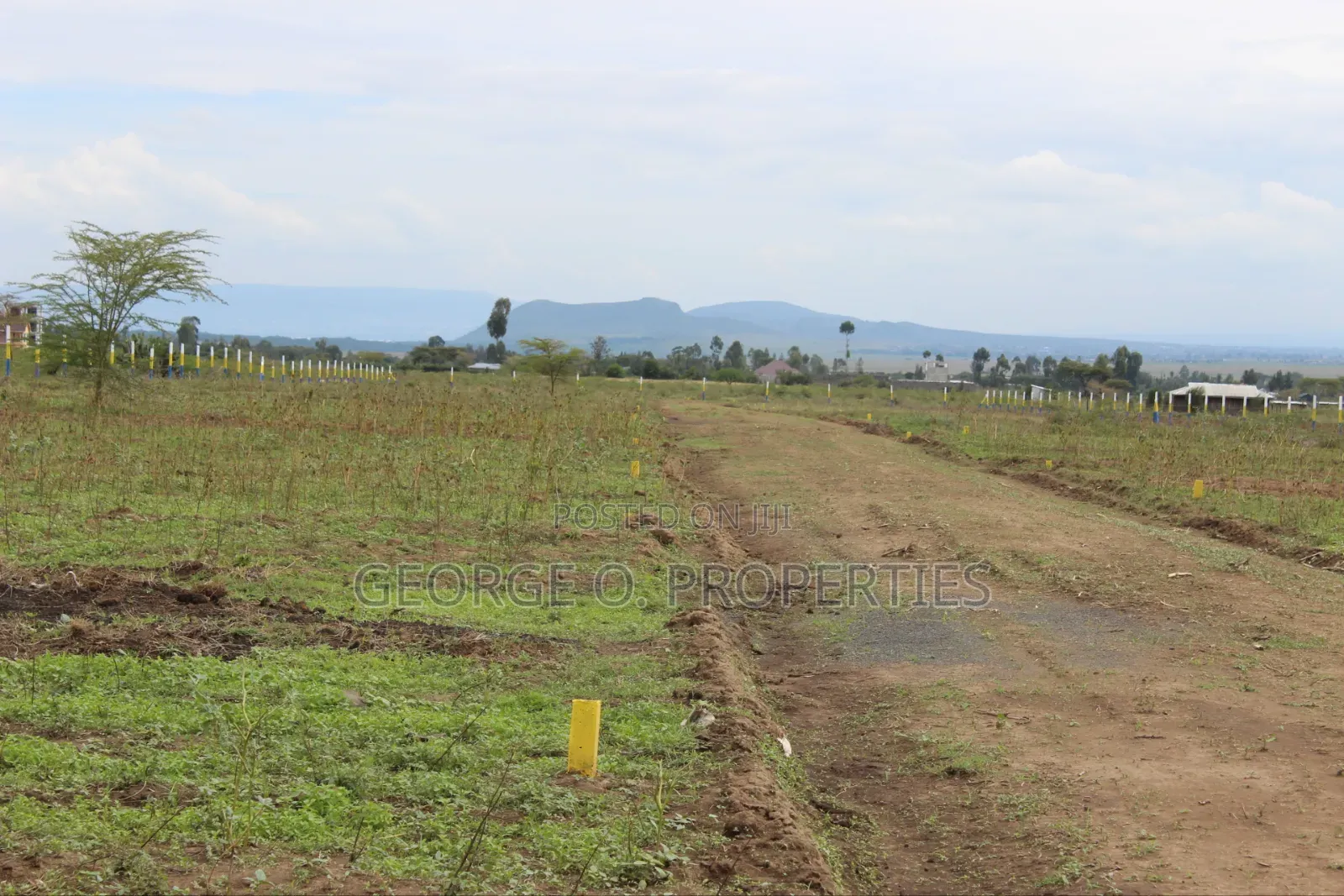 Nakuru Mutaita 50 by 100 Plots