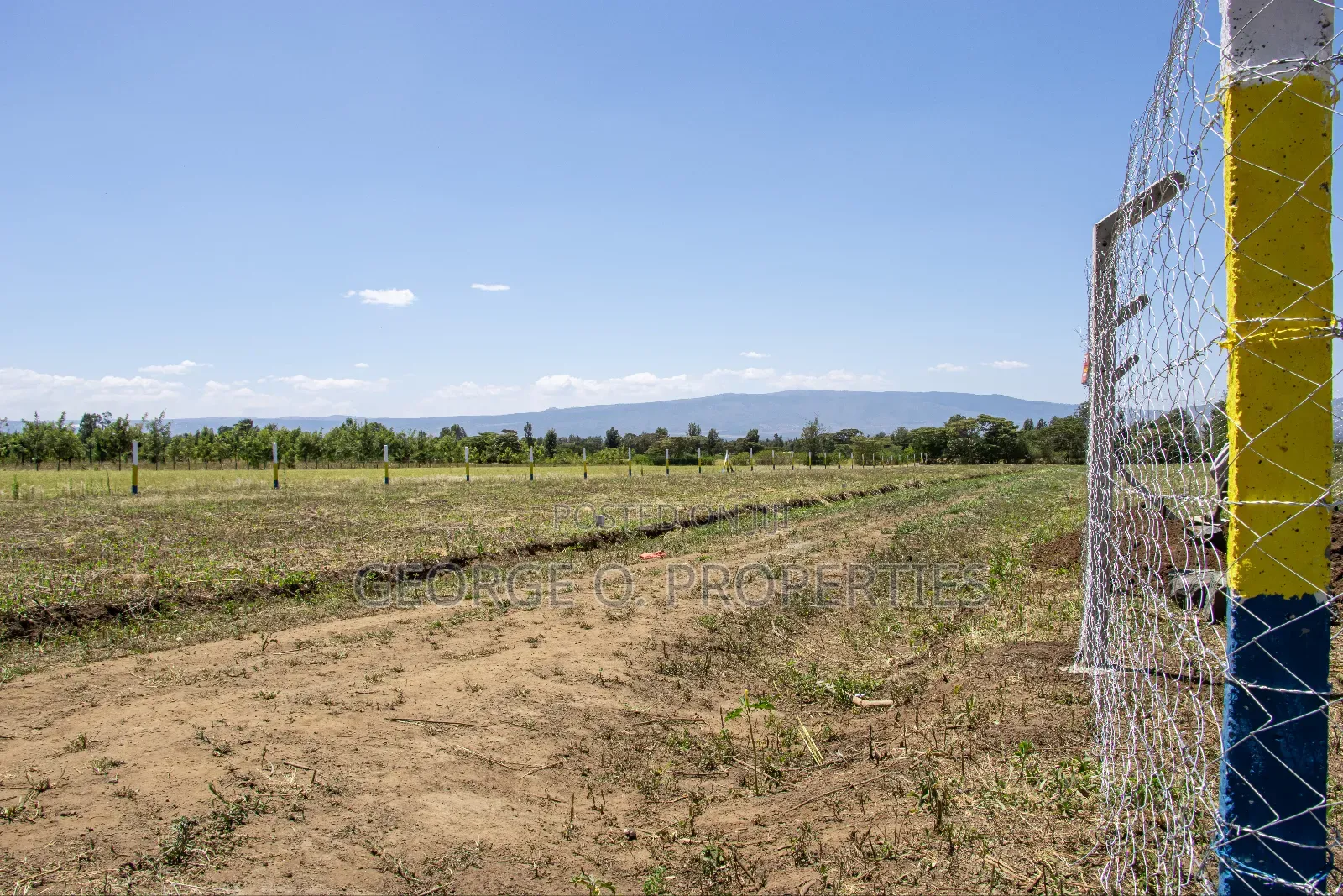 Nakuru Mang'u 50 by 100 Plots