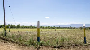 Nakuru Mang'u 50 by 100 Plots