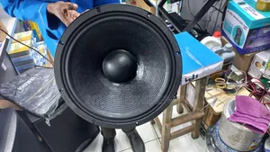 Titanic Double Magnet 18-inch Bass Speaker
