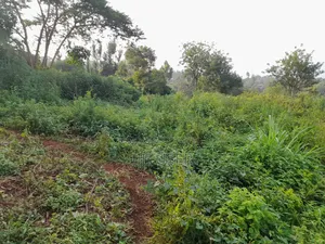 (Near Tarmac)100 × 100 Plot For Sale In Wangige Lower Kabete