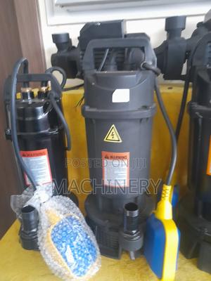 Submersible Kisima Water Pump - thumbnail 2