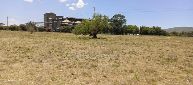 50x100 Plots Measuring 0.056ha 1,2,3,4,5 Acres at Mwariki - thumbnail 3