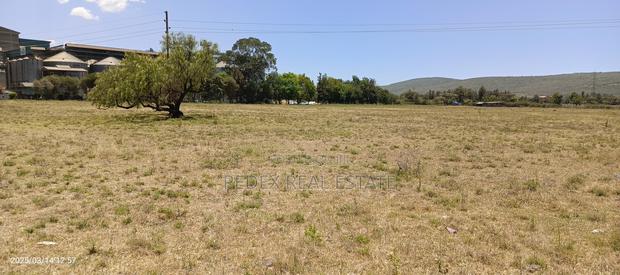 50x100 Plots Measuring 0.056ha 1,2,3,4,5 Acres at Mwariki - thumbnail 4