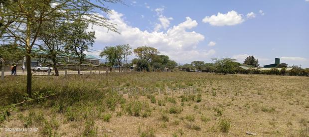 50x100 Plots Measuring 0.056ha 1,2,3,4,5 Acres at Mwariki - thumbnail 5