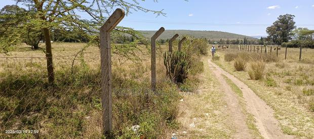 50x100 Plots Measuring 0.056ha 1,2,3,4,5 Acres at Mwariki - thumbnail 7