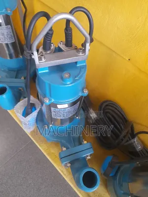 2hp 2" Submersible Shallow Well Pump