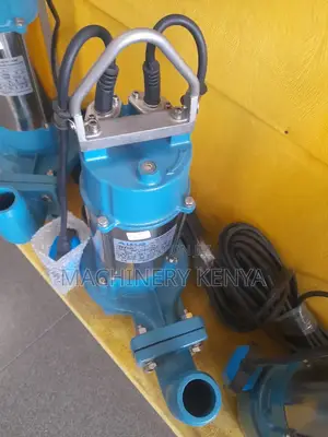 2hp 2" Submersible Shallow Well Pump