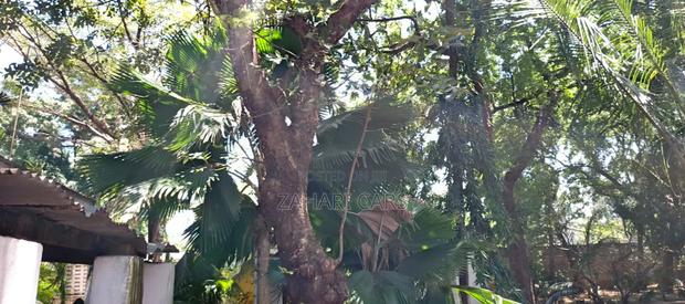 1 Acre Property for Sale - thumbnail 2