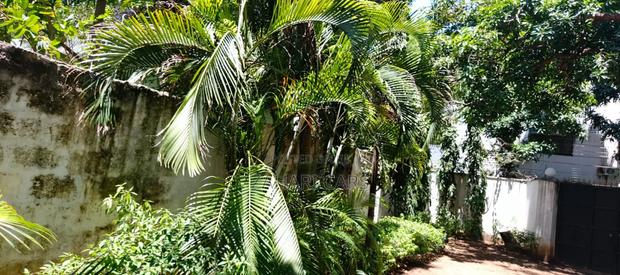 1 Acre Property for Sale - thumbnail 4