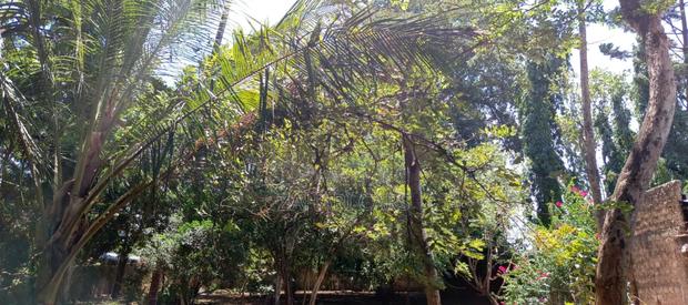 1 Acre Property for Sale - thumbnail 6