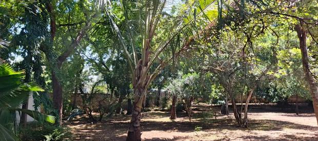 1 Acre Property for Sale - thumbnail 7